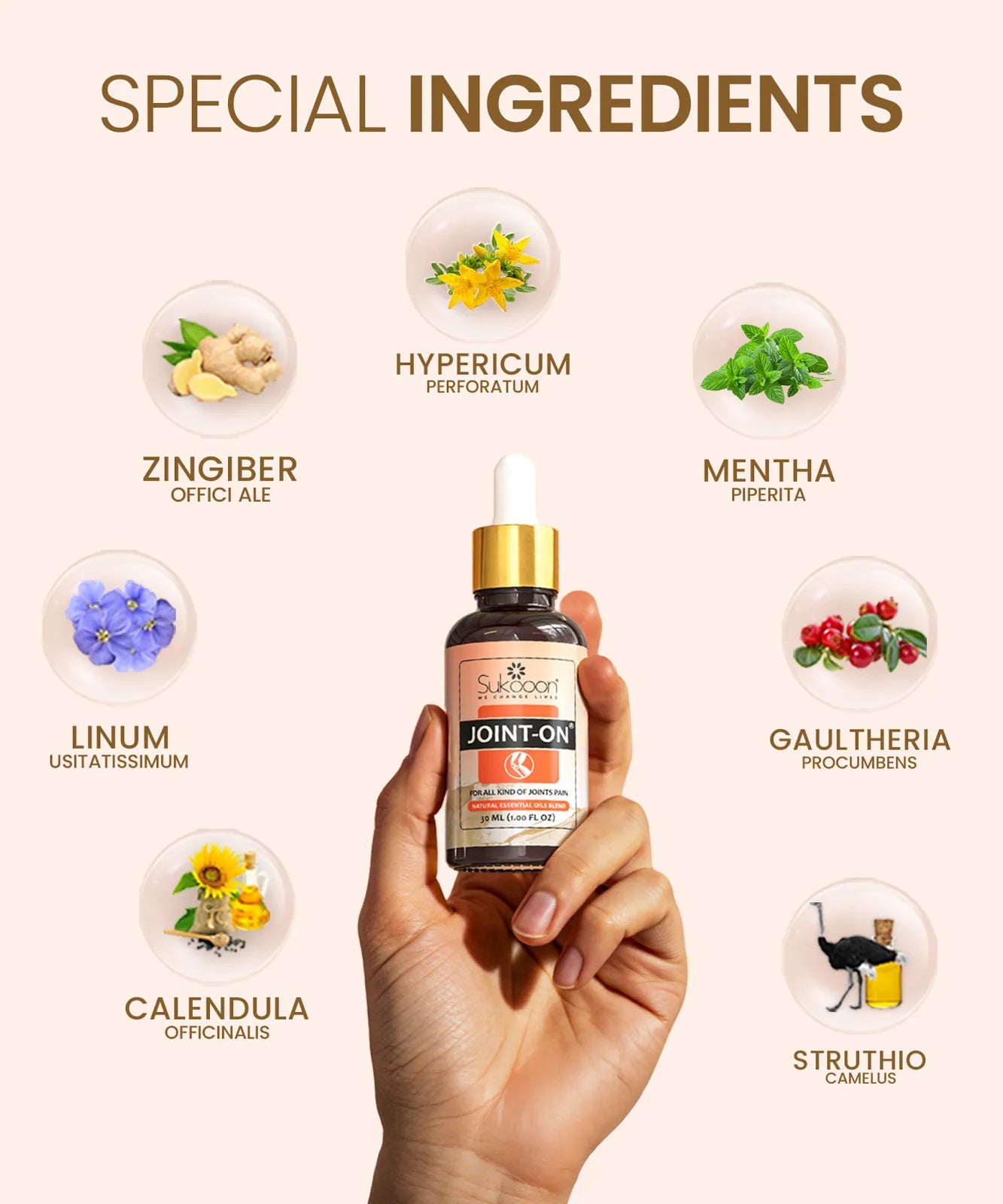 JOINT ON | For Joints, Knee & Back Pain