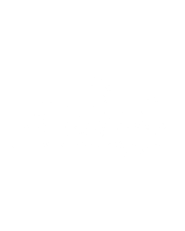 Official partner 4