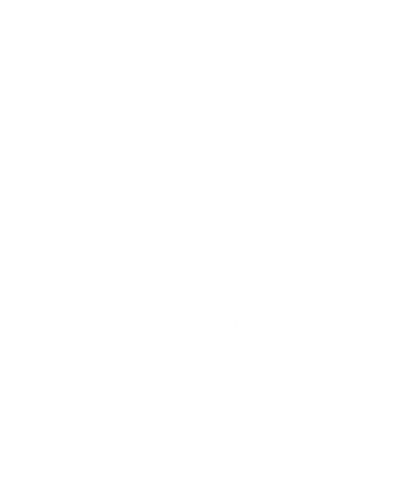 Official partner 3