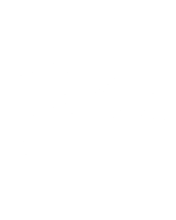 Official partner 2